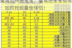 魔域如何选宝宝，魔域选宝宝指南：如何找到最佳伴侣！