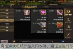 最新魔域游戏私服外挂入门攻略，魔域宝宝转职攻略