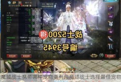 魔域战士携带哪种宠物更有趣魔域战士选择最佳宠物的指南？