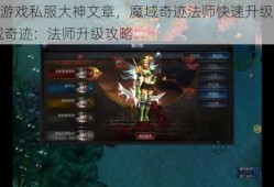 魔域游戏私服大神文章，魔域奇迹法师快速升级攻略,魔域奇迹：法师升级攻略