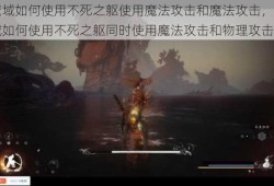 魔域如何使用不死之躯使用魔法攻击和魔法攻击，魔域如何使用不死之躯同时使用魔法攻击和物理攻击