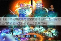 魔域法师如何将技能与宝宝技能结合在一起，魔域法师如何将技能与宠物技能结合起来完美！