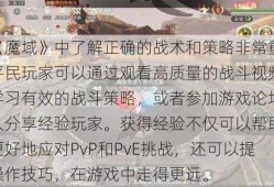 在《魔域》中了解正确的战术和策略非常重要。平民玩家可以通过观看高质量的战斗视频玩家学习有效的战斗策略，或者参加游戏论坛与他人分享经验玩家。获得经验不仅可以帮助玩家更好地应对PvP和PvE挑战，还可以提高操作技巧，在游戏中走得更远。