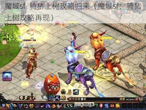 魔域sf  骑猪上树攻略归来（魔域sf：骑猪上树攻略再现） 第1张