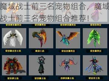 魔域战士前三名宠物组合，魔域战士前三名宠物组合推荐！  第1张